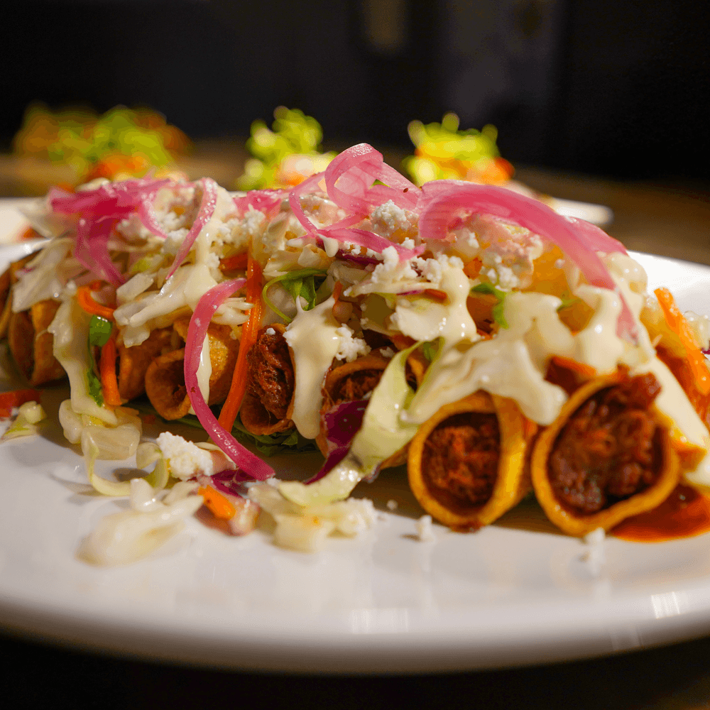 BEEF BARBACOA TAQUITOS