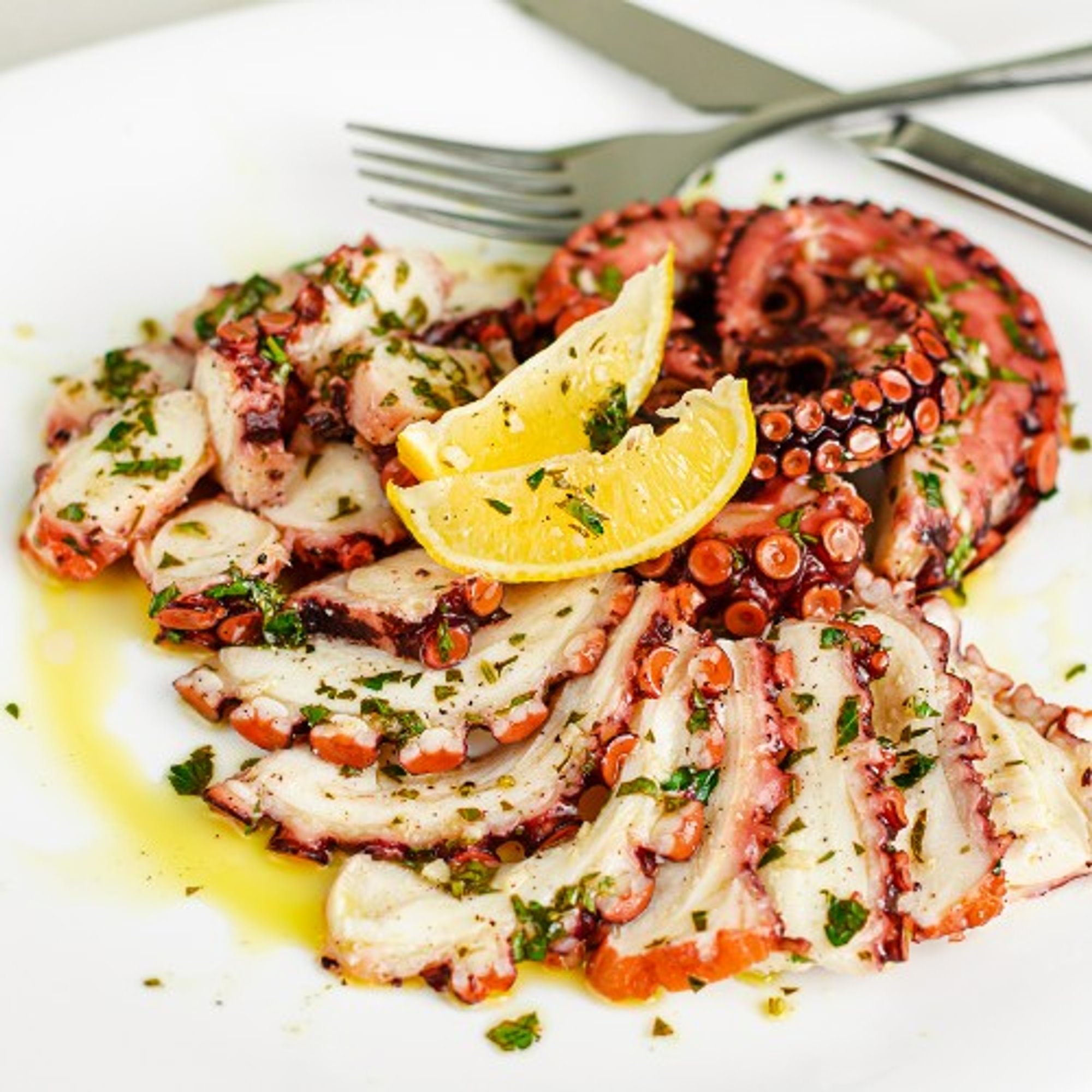 Octopus
