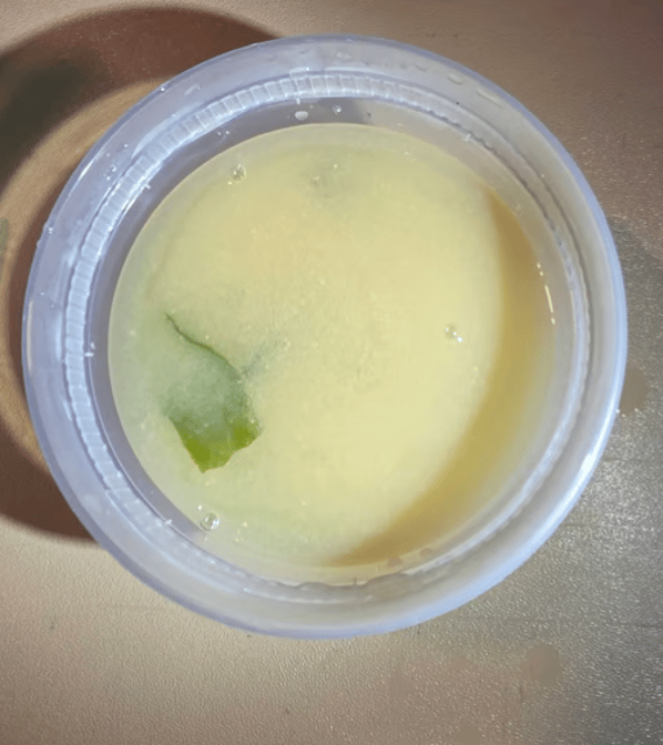 Miso Soup
