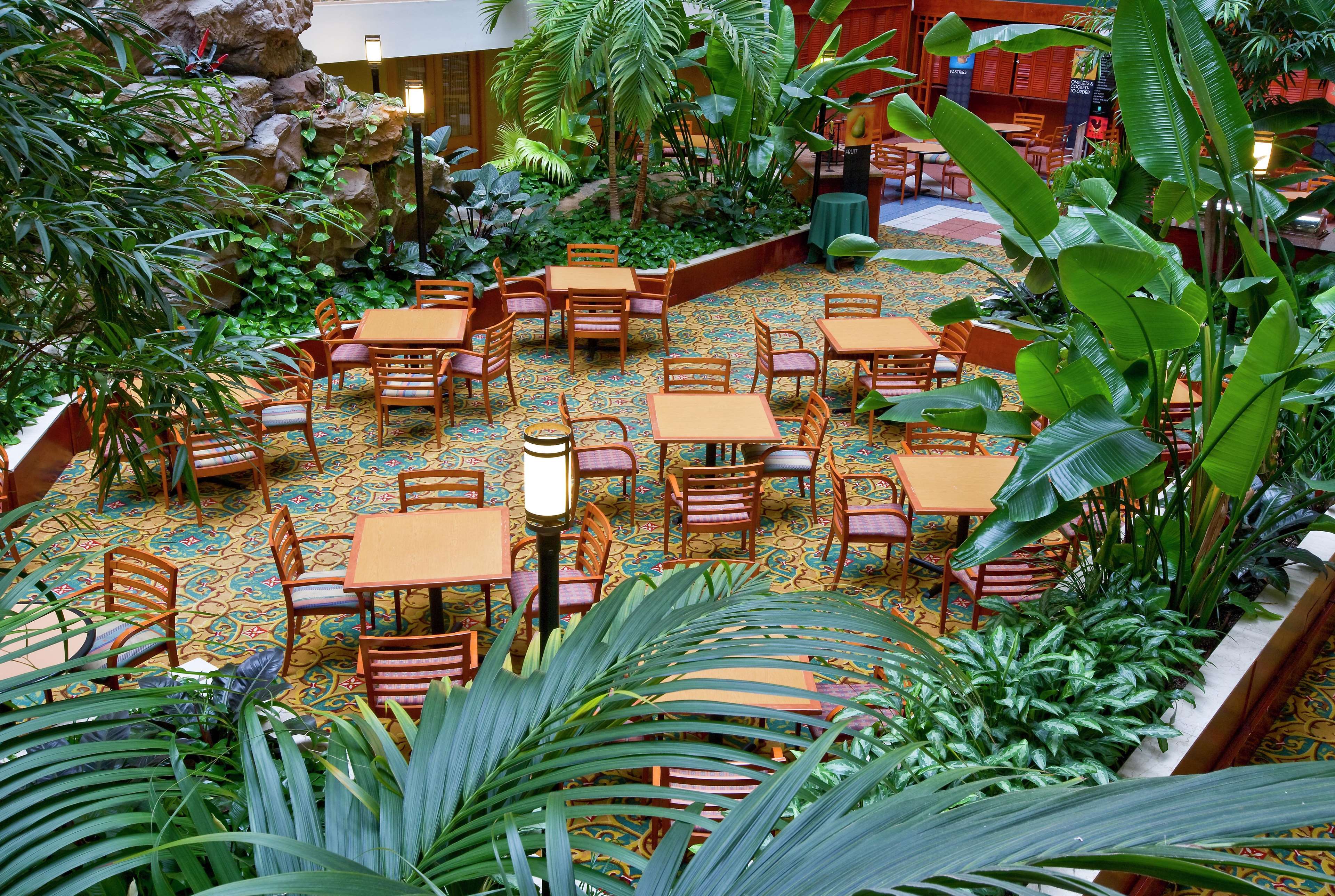 Embassy Suites by Hilton Chicago-O'Hare Rosemont Photo