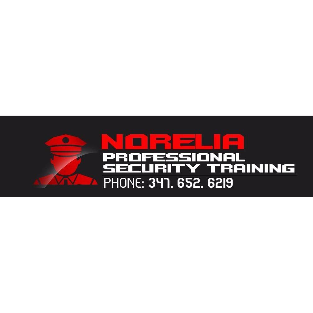 Norelia Professional Security Training Logo