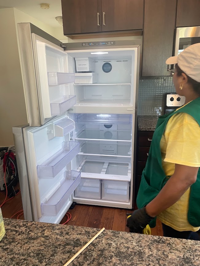 Move-In / Move-Out Cleaning