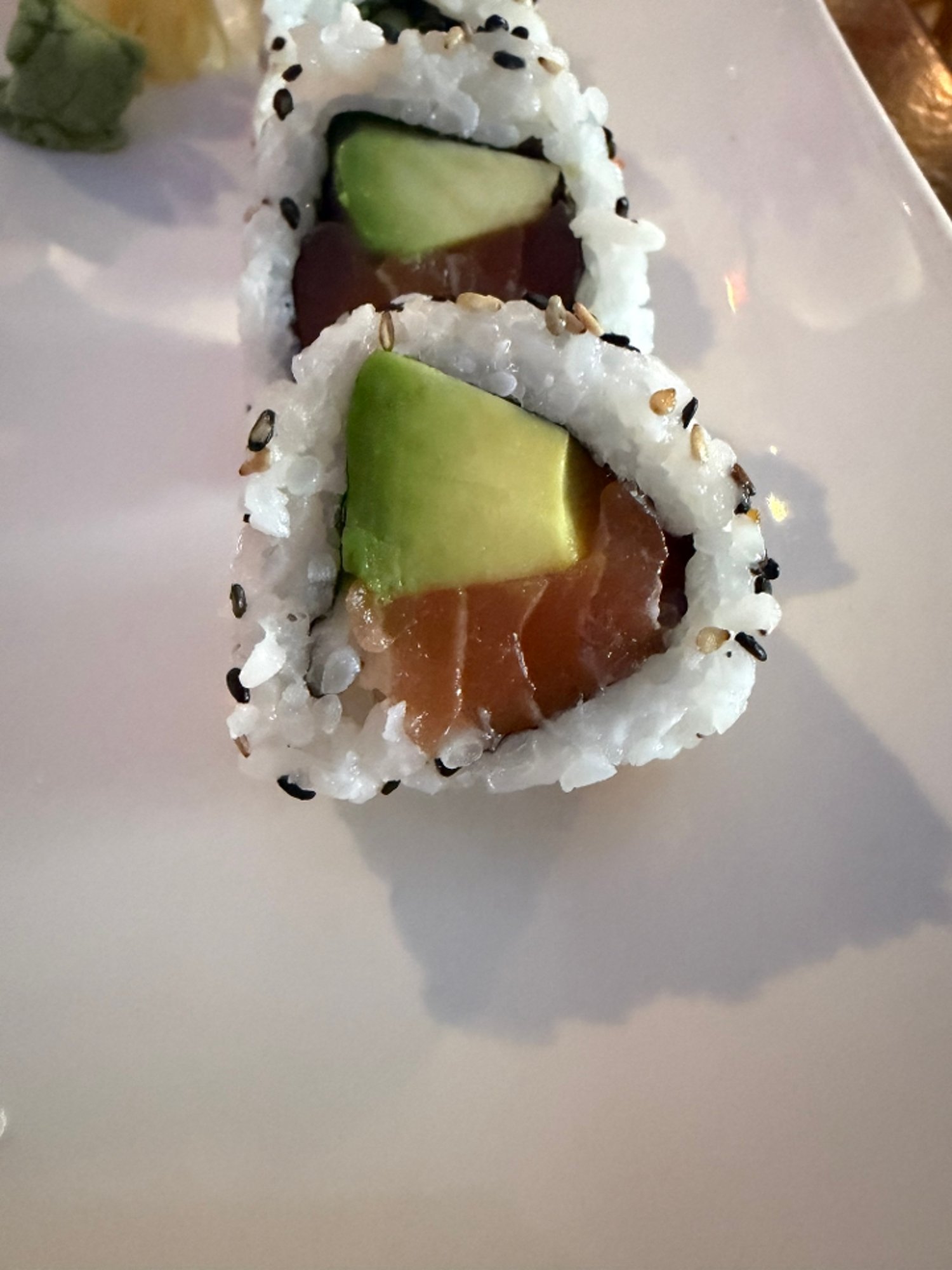Salmon & Avocado