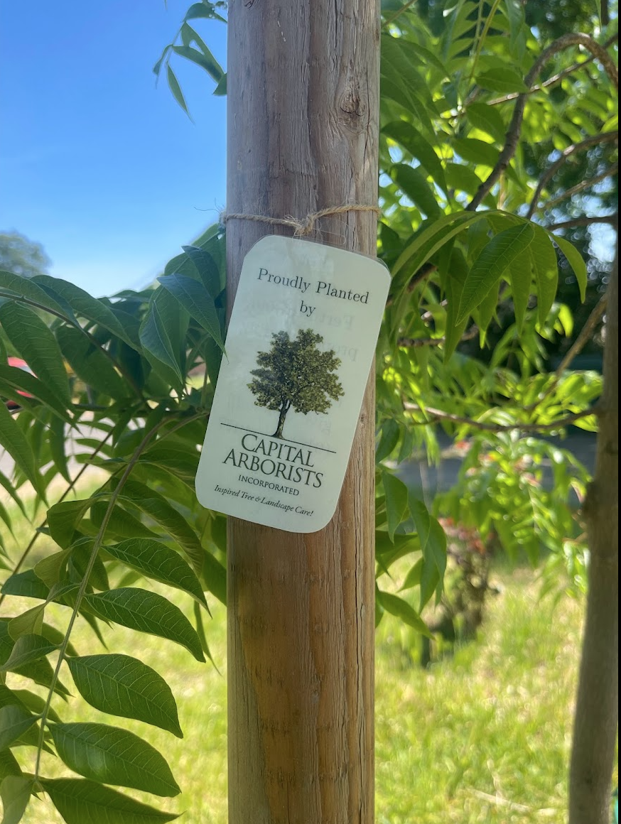 Capital Arborists, Inc. Image