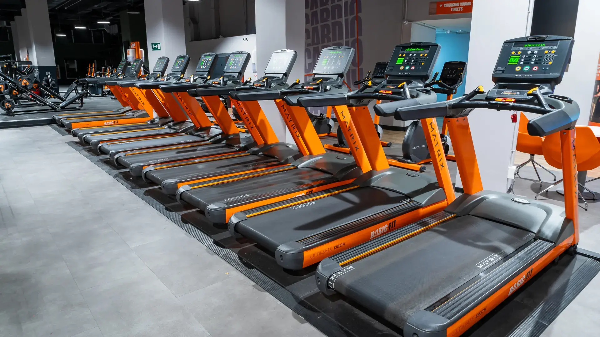 Galería en miniatura