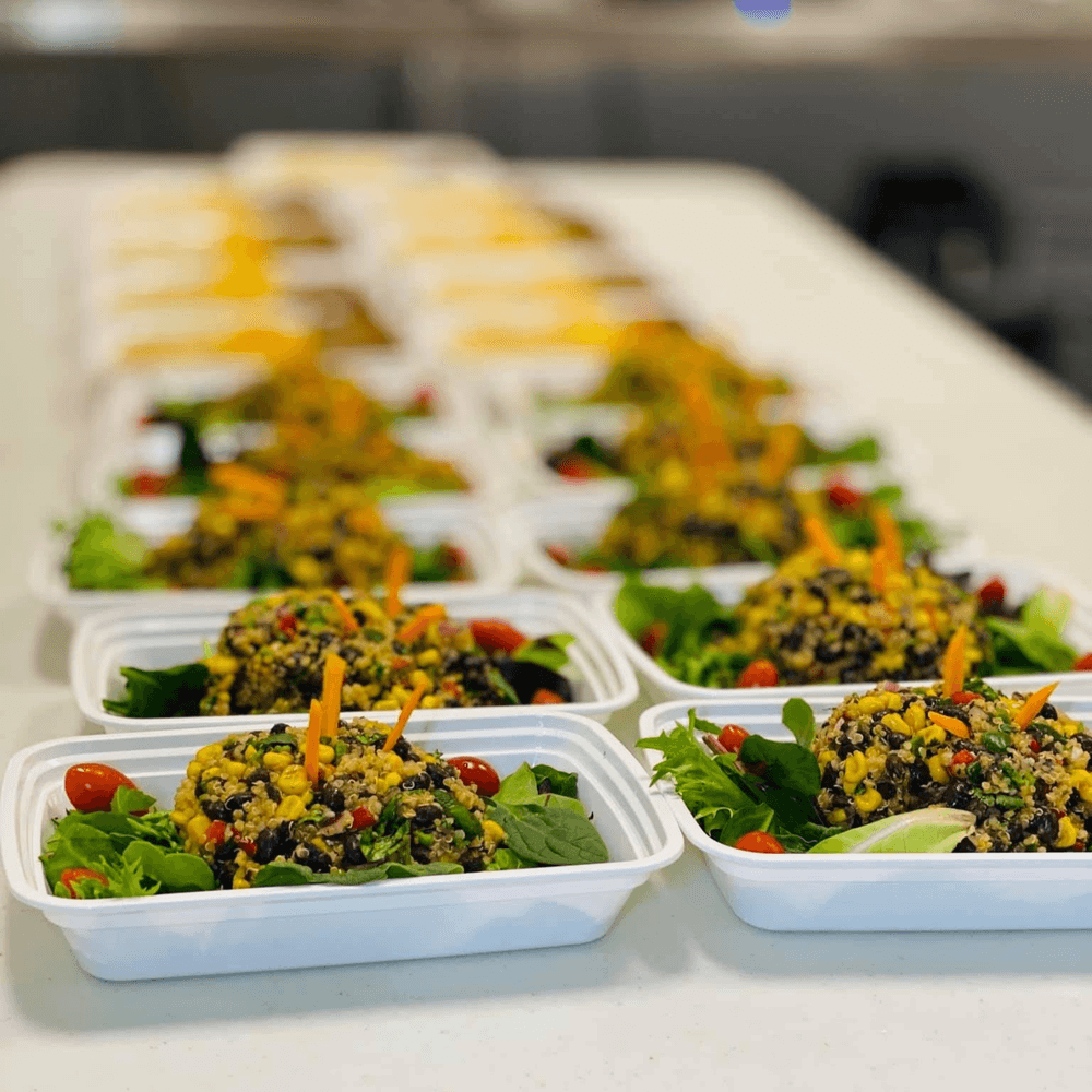 21 Day Meal Plan / 2 Meals a Day (42 Meals)