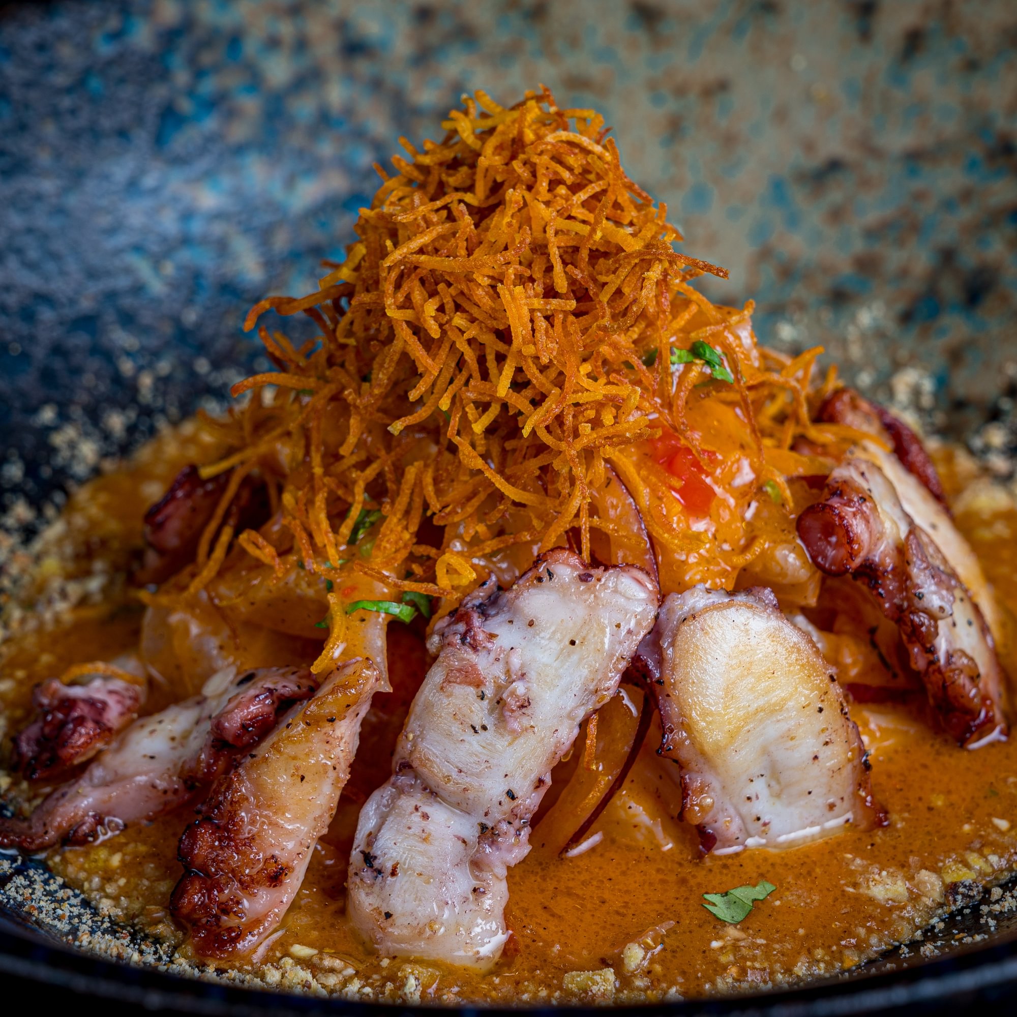 Octopus Nikkei Al Olivo