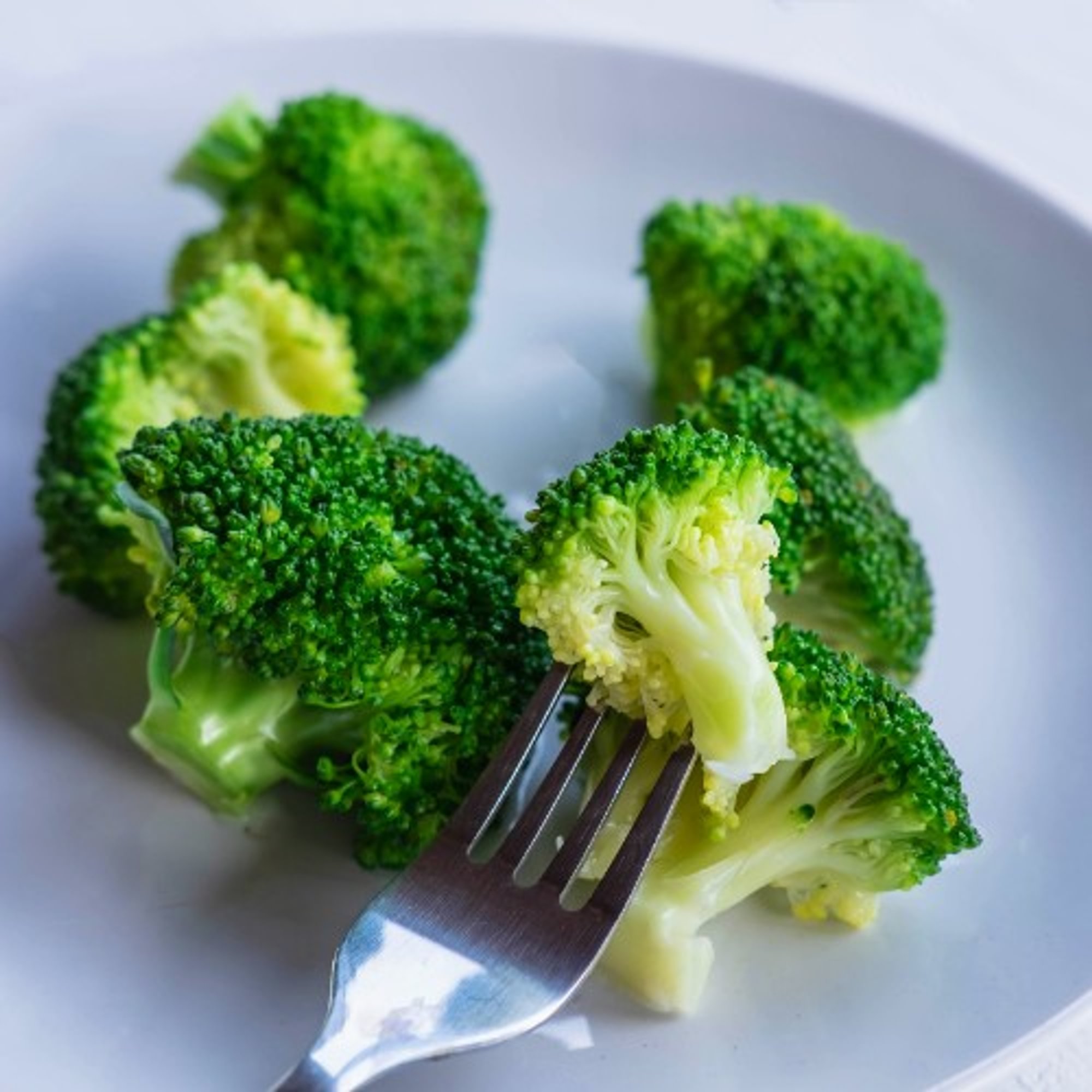 Broccoli