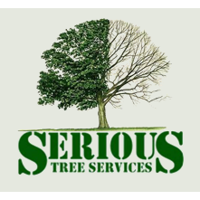 Serious Tree Services Inc Logo