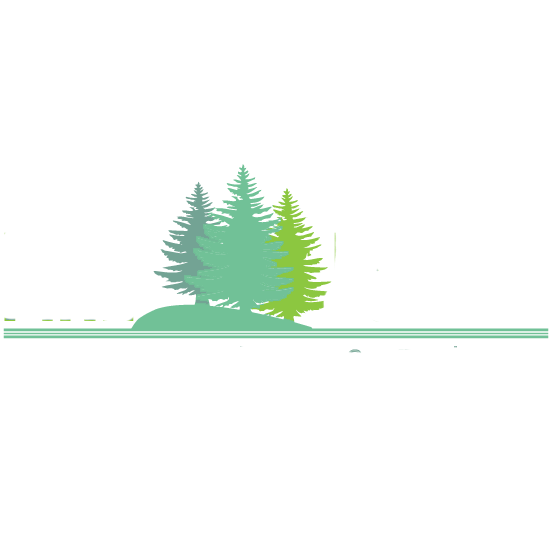 Pine Forest Apartments
