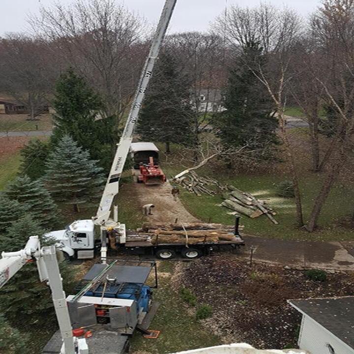 Hilltop Tree Service LLC Logo