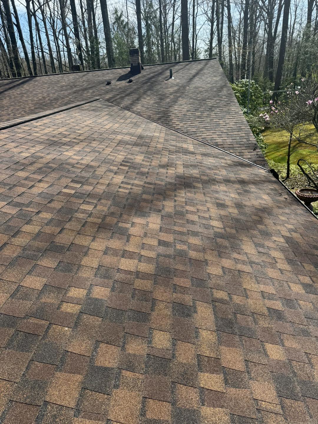 True United Construction Image