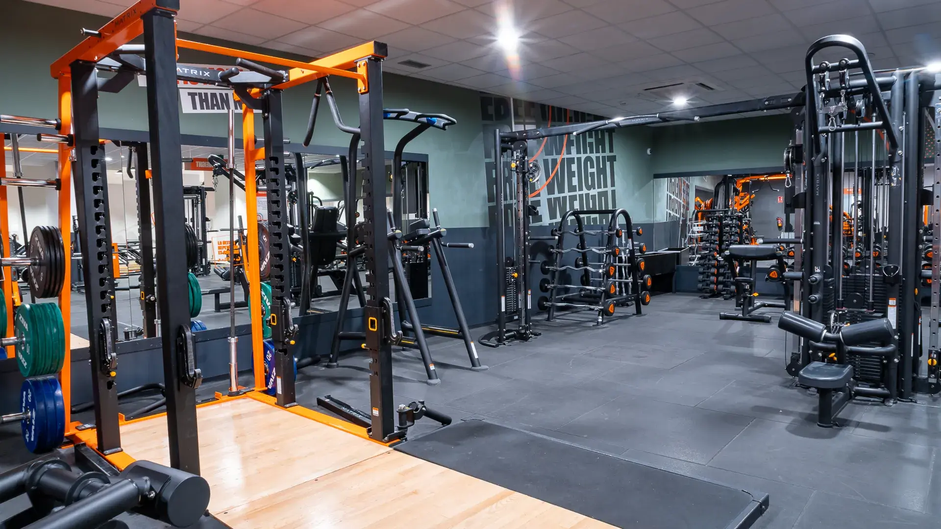 Galería en miniatura