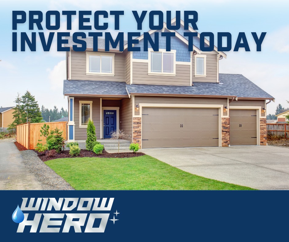 Window Hero Charlotte Image