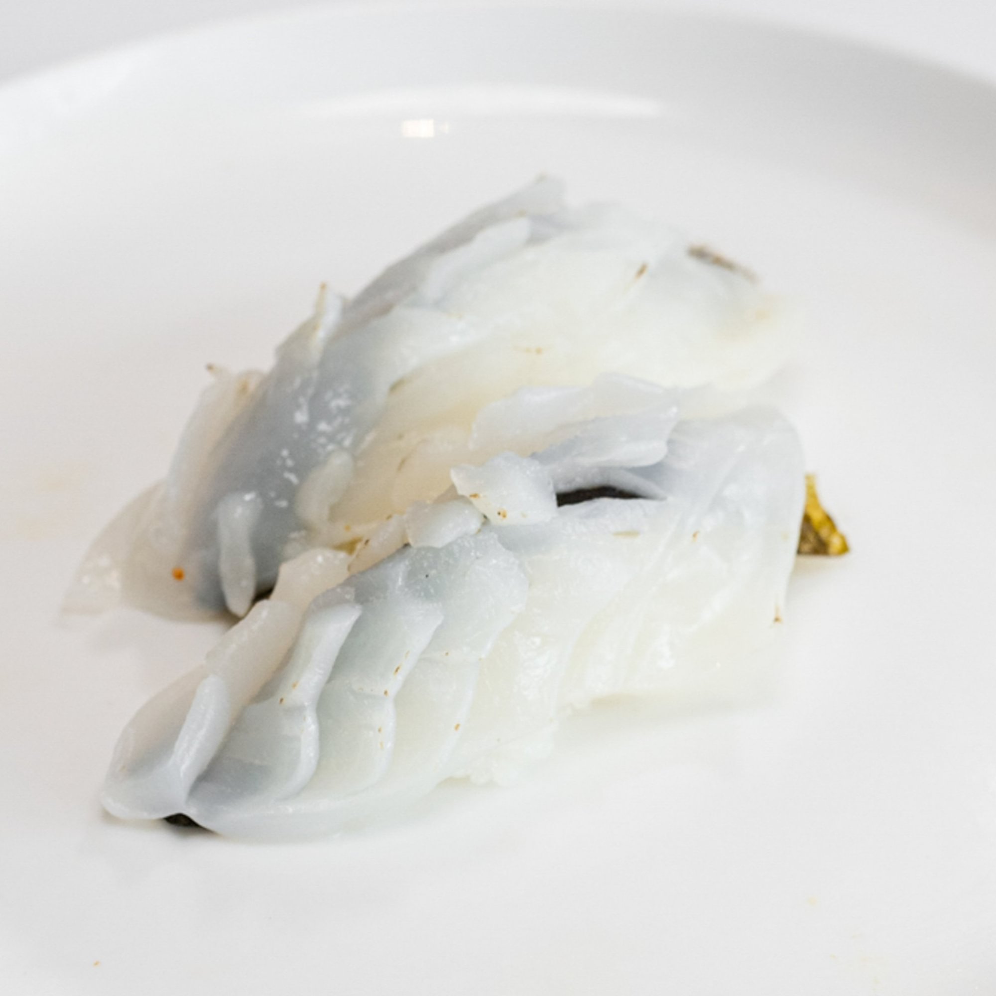 Ika (Squid)
