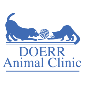 Doerr Animal Clinic Photo