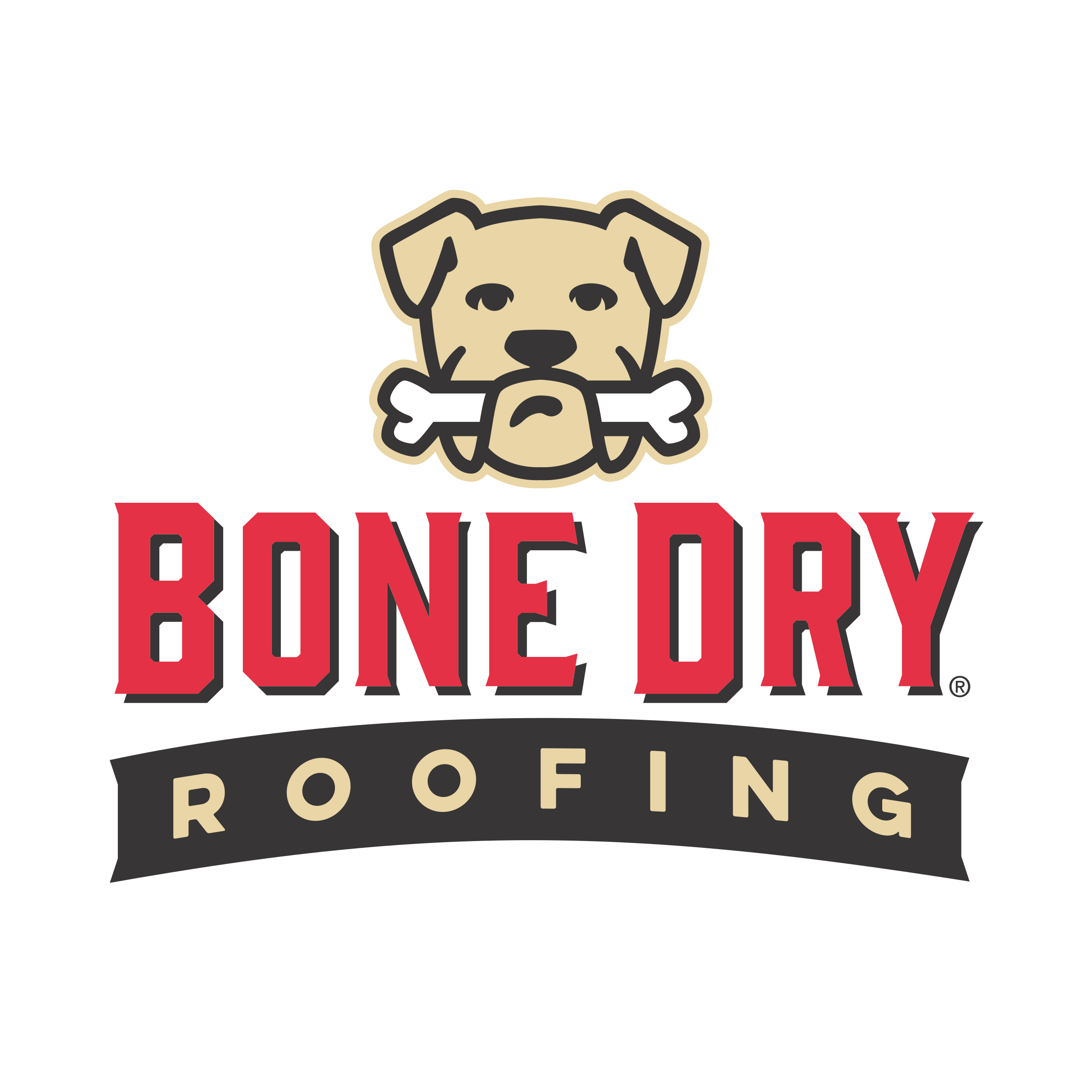 Bone Dry Roofing Photo