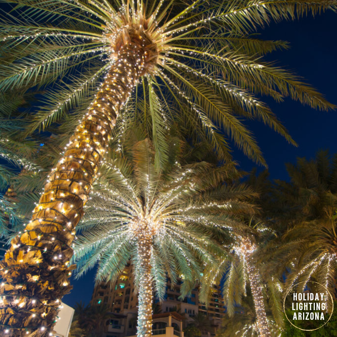 Holiday Lighting Arizona Image