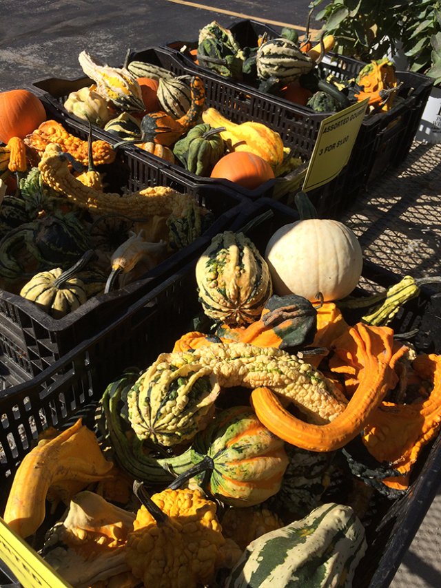 Hartman's Towne & Country Greenhouse Photo