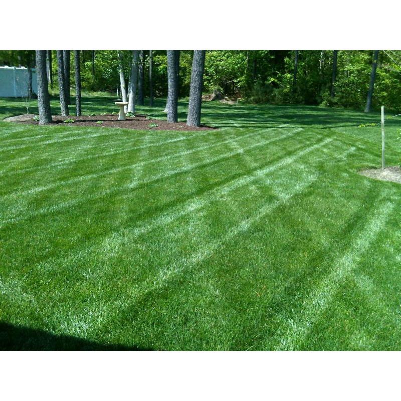 Griffith Landscapes Logo