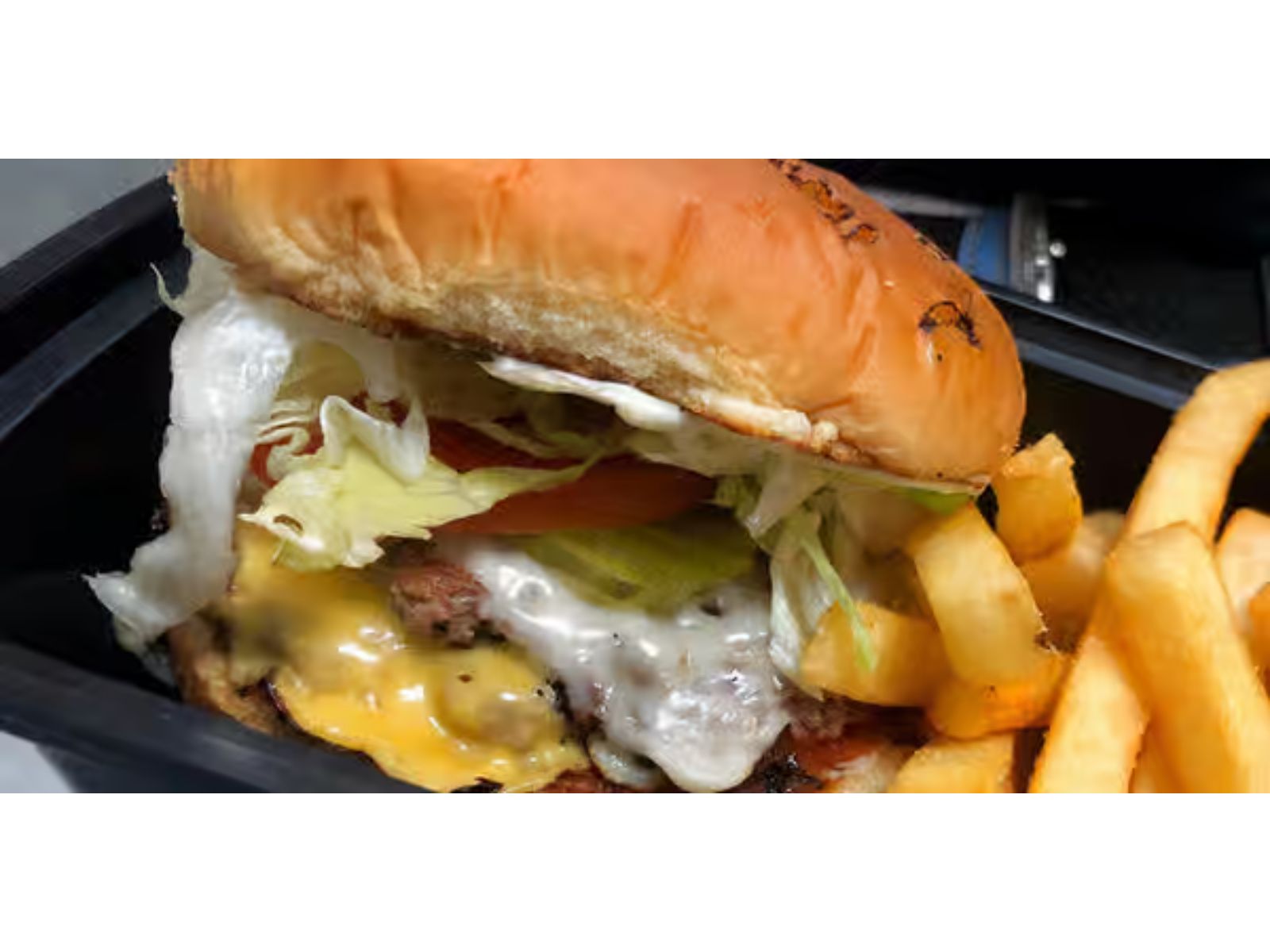 Brisket Burger W/ Fries