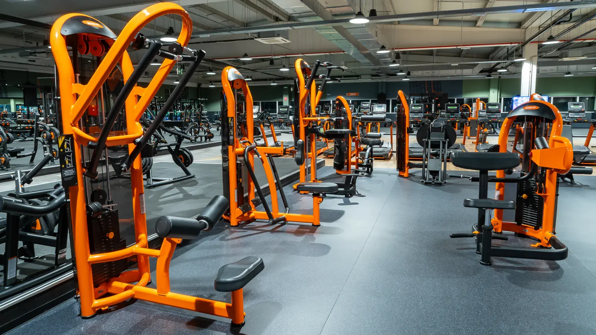 Galería de imágenes