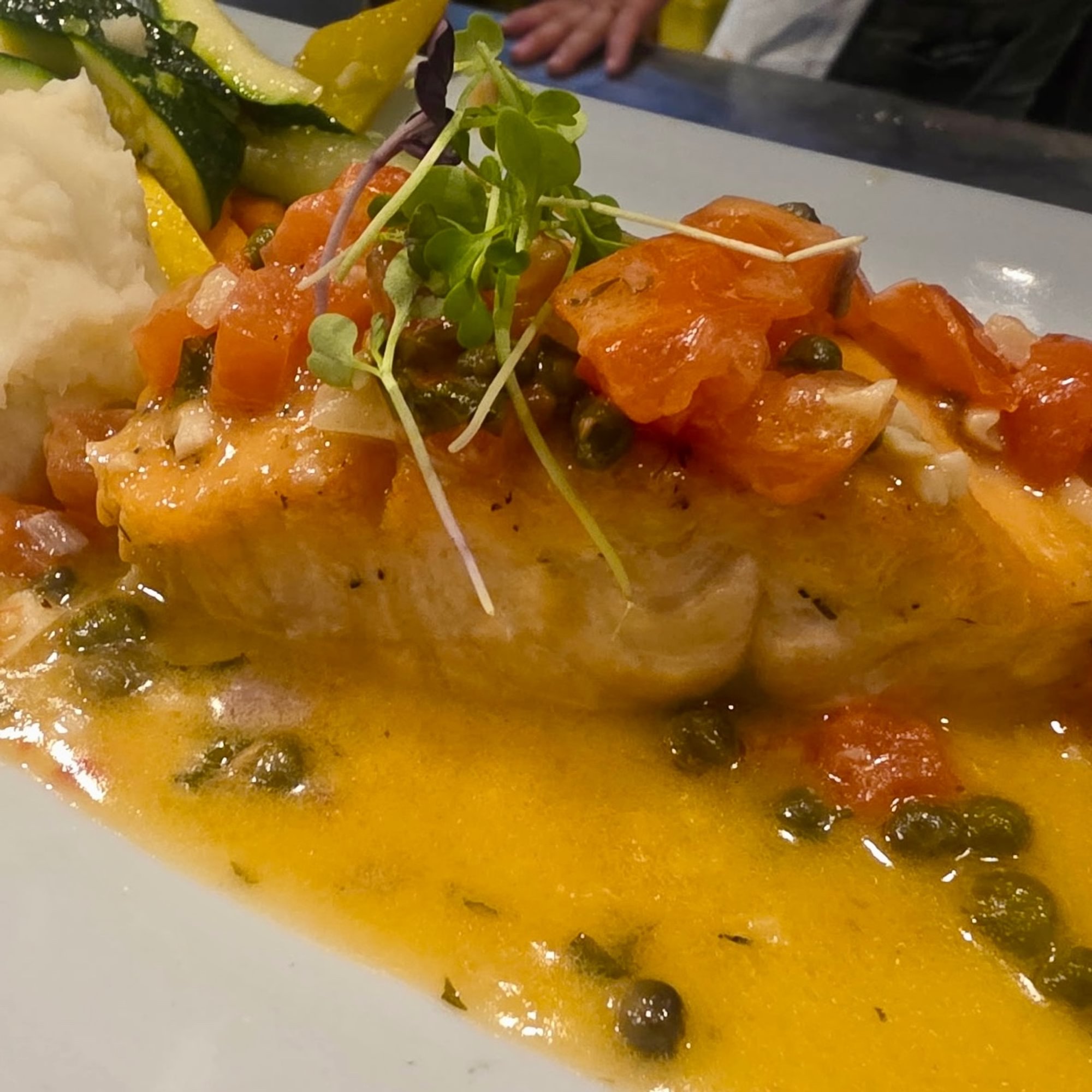 Salmon