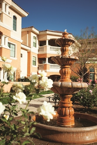 Phoenix az coupon matchups