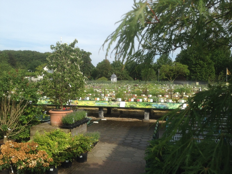 Foto's Abbing Tuincentrum/Tuinaanleg