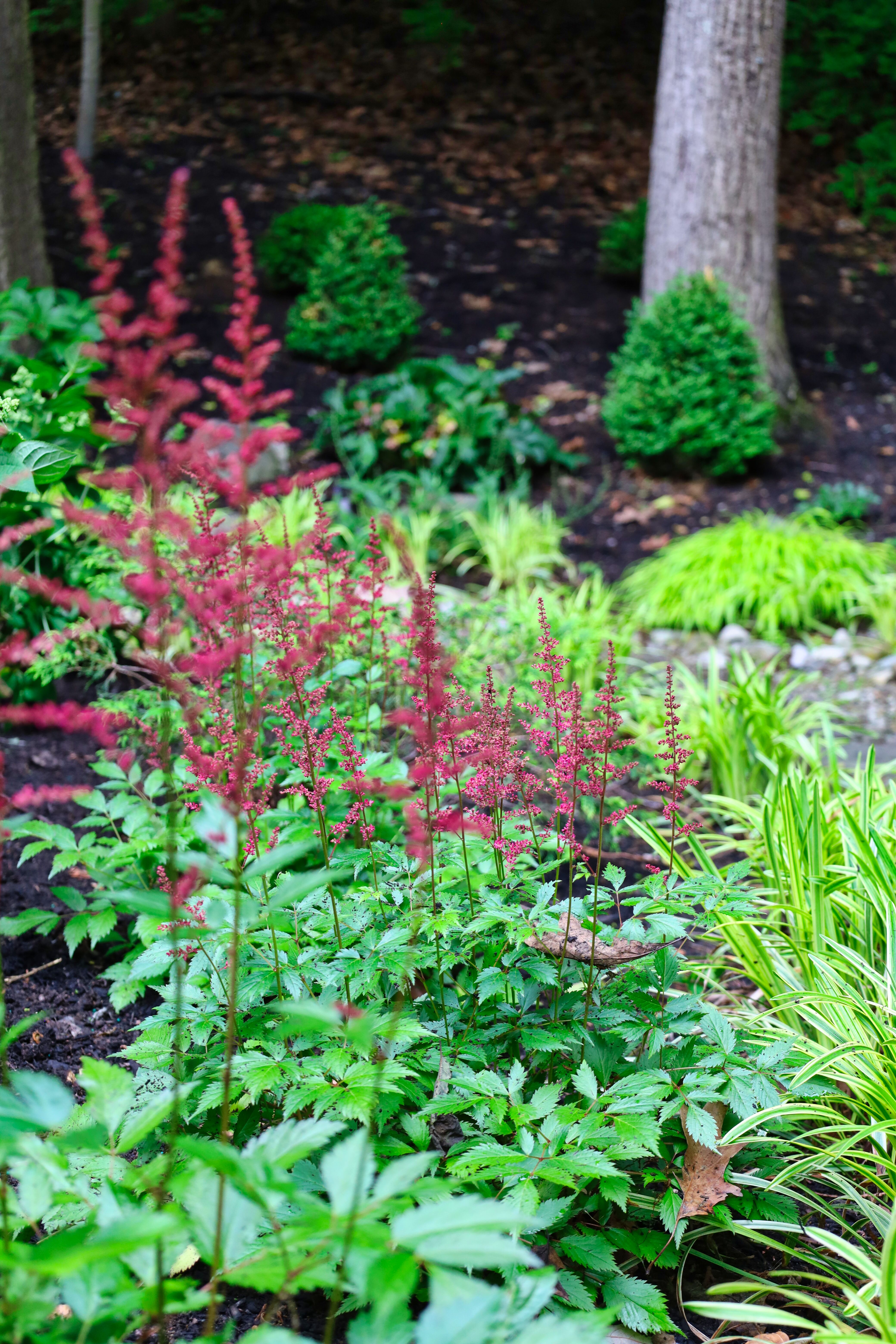 Oakwood Lawn & Landscaping Image