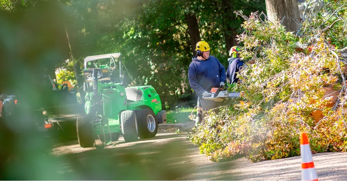 Heritage Tree Services Image
