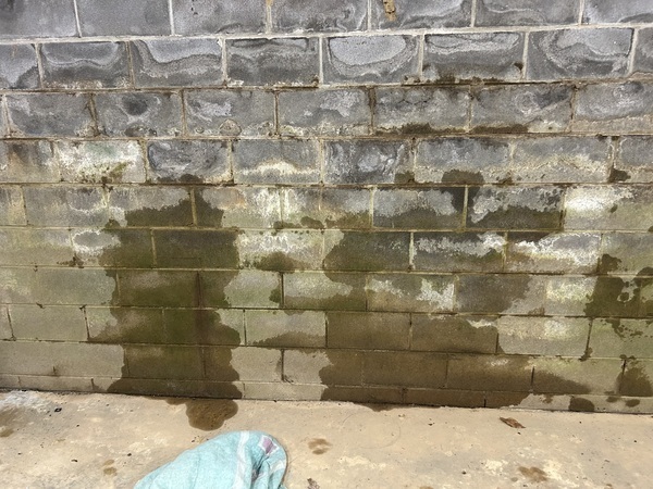 Ox Foundation Solutions Image