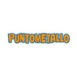 Logo di PUNTO METALLO