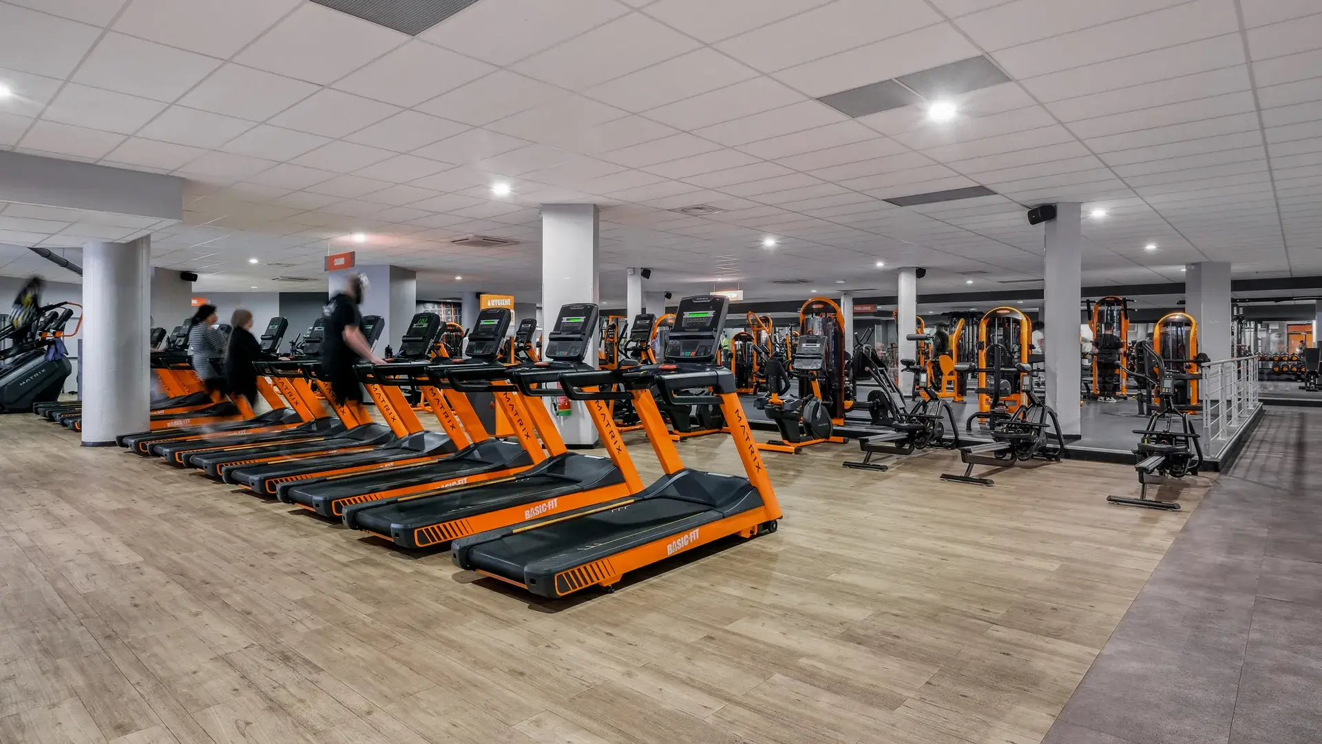 Miniature de la galerie