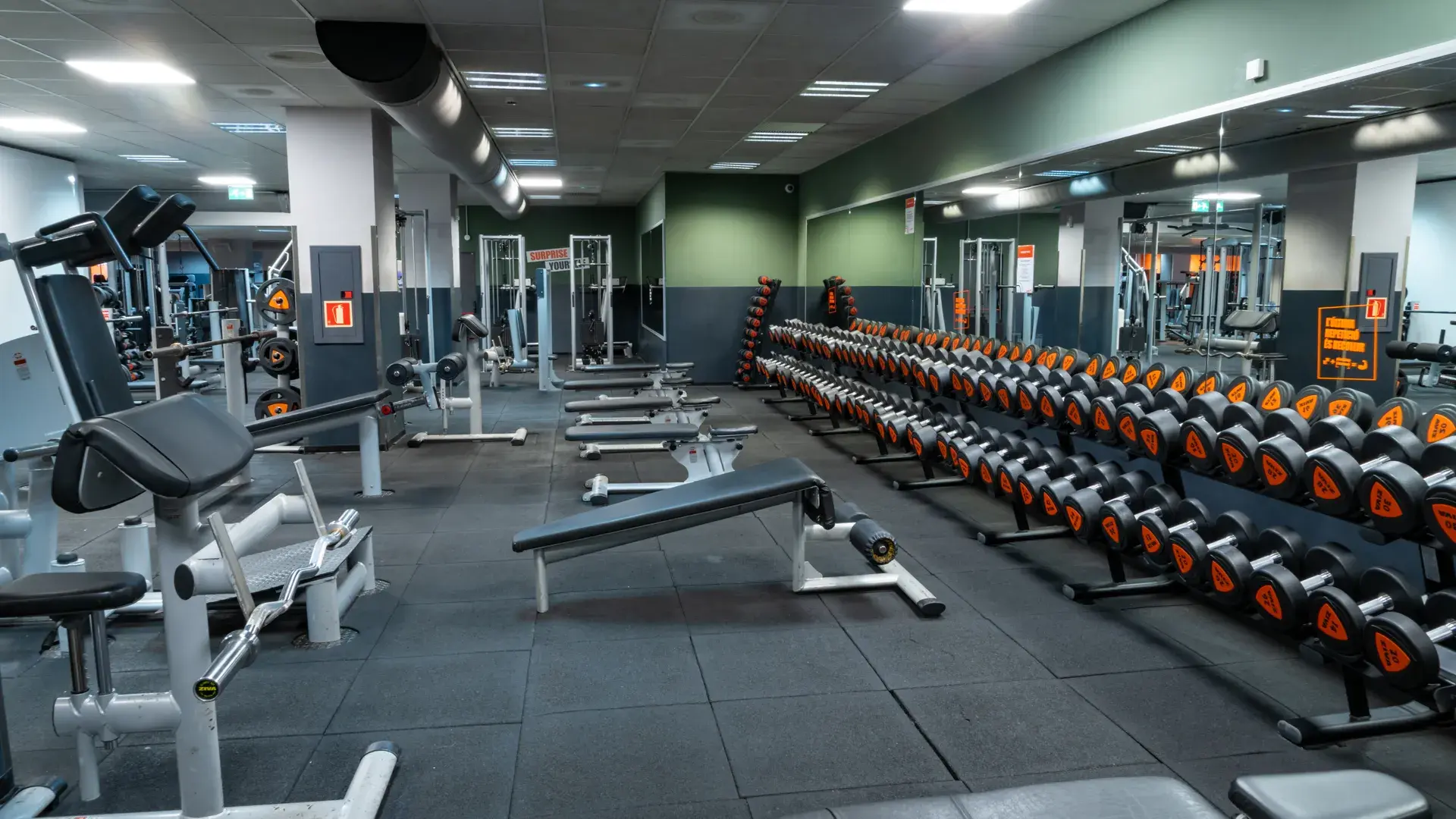 Galería de imágenes