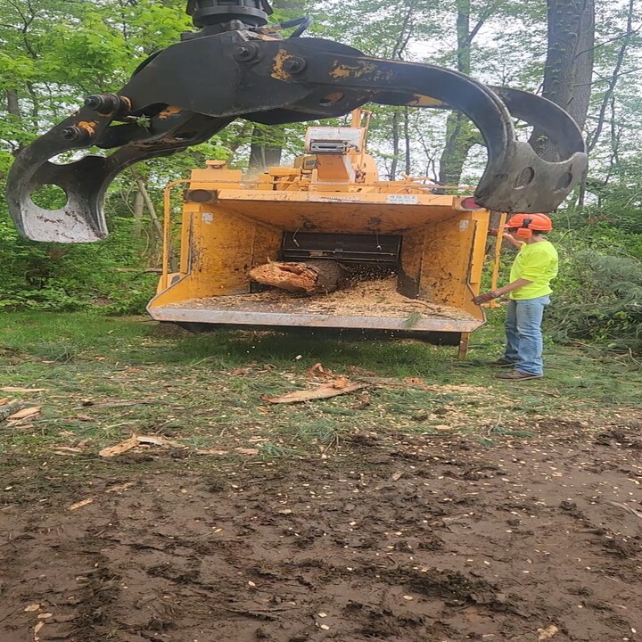 Saar's Tree Service LLC Image