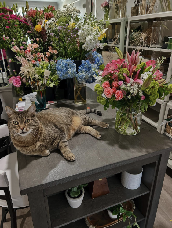 Paris Bouquets