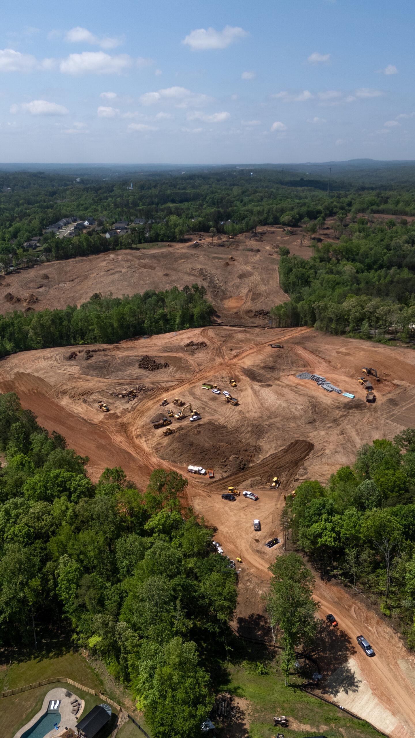 Big Woody's Tree Service Image