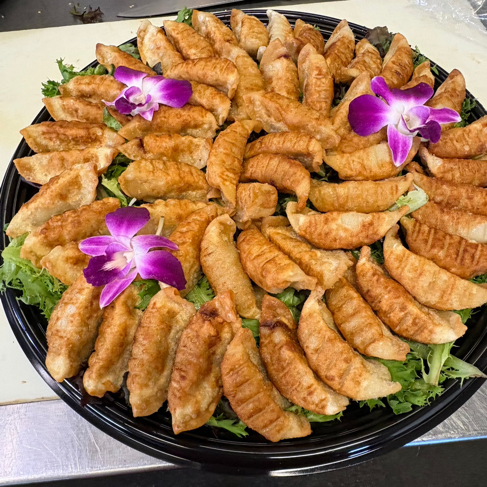 Gyoza Tray