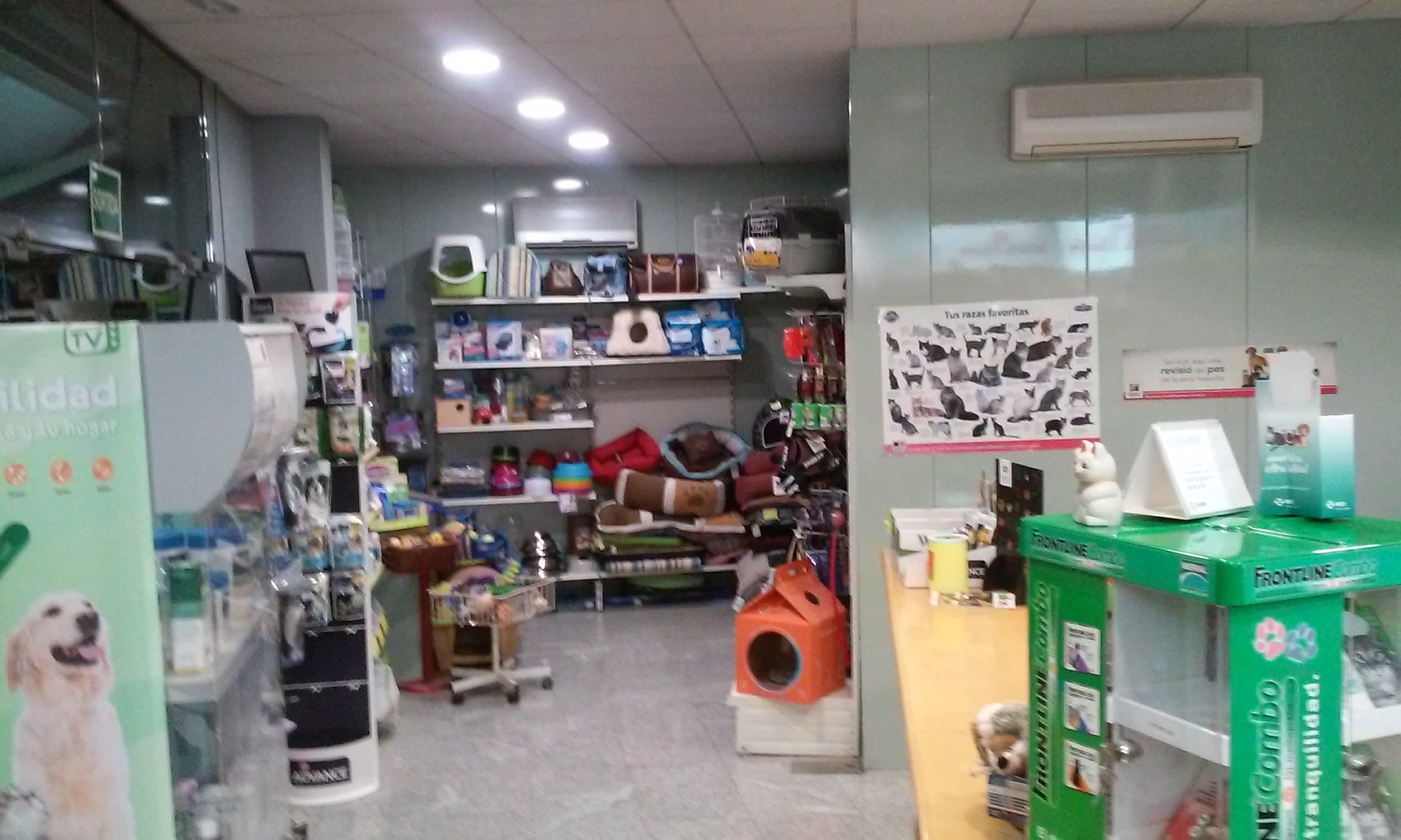Galería en miniatura