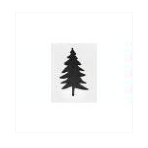 Blue Spruce Home Care Inc