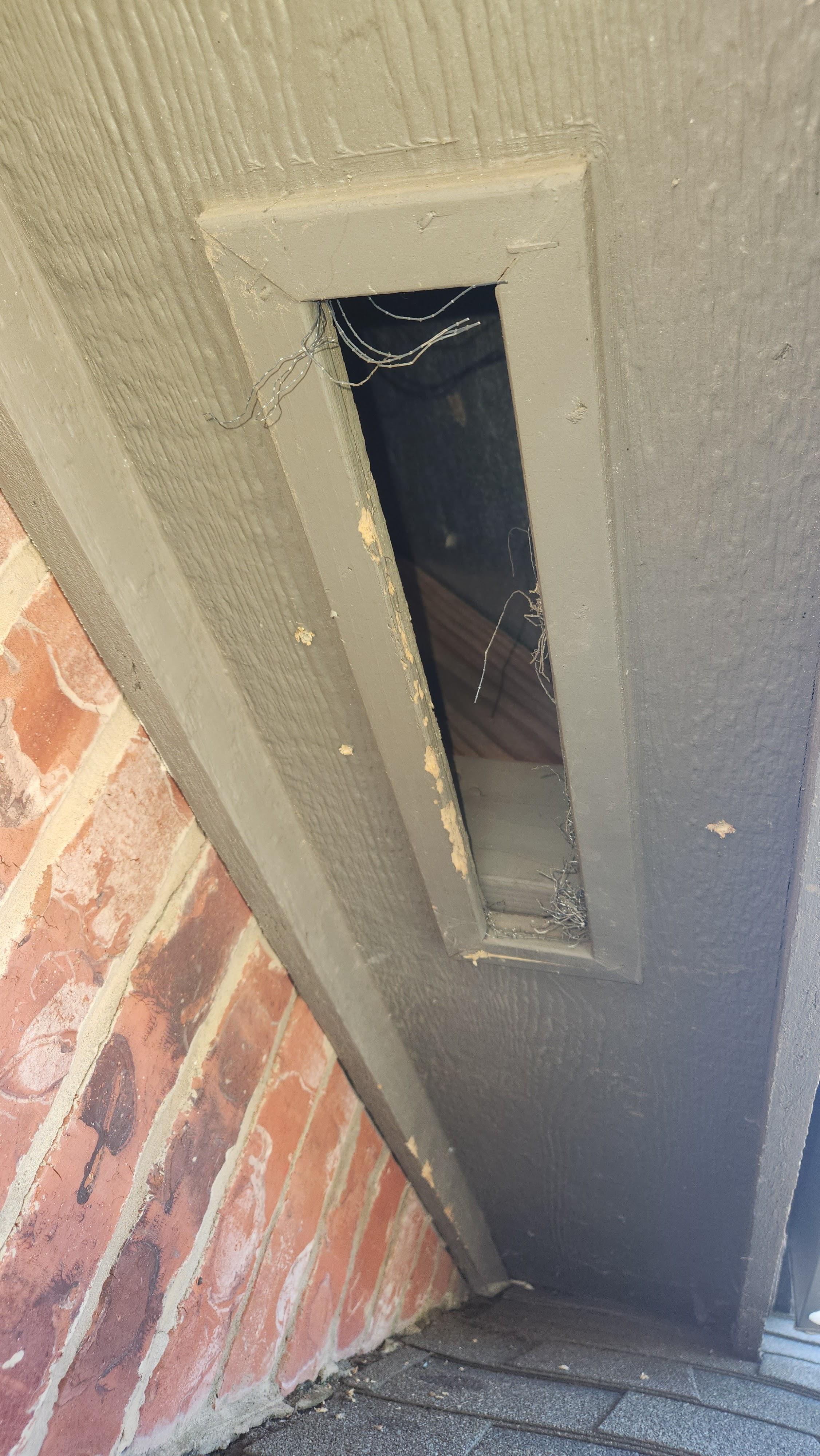 Skunk Bait Wildlife And Pest Control Image