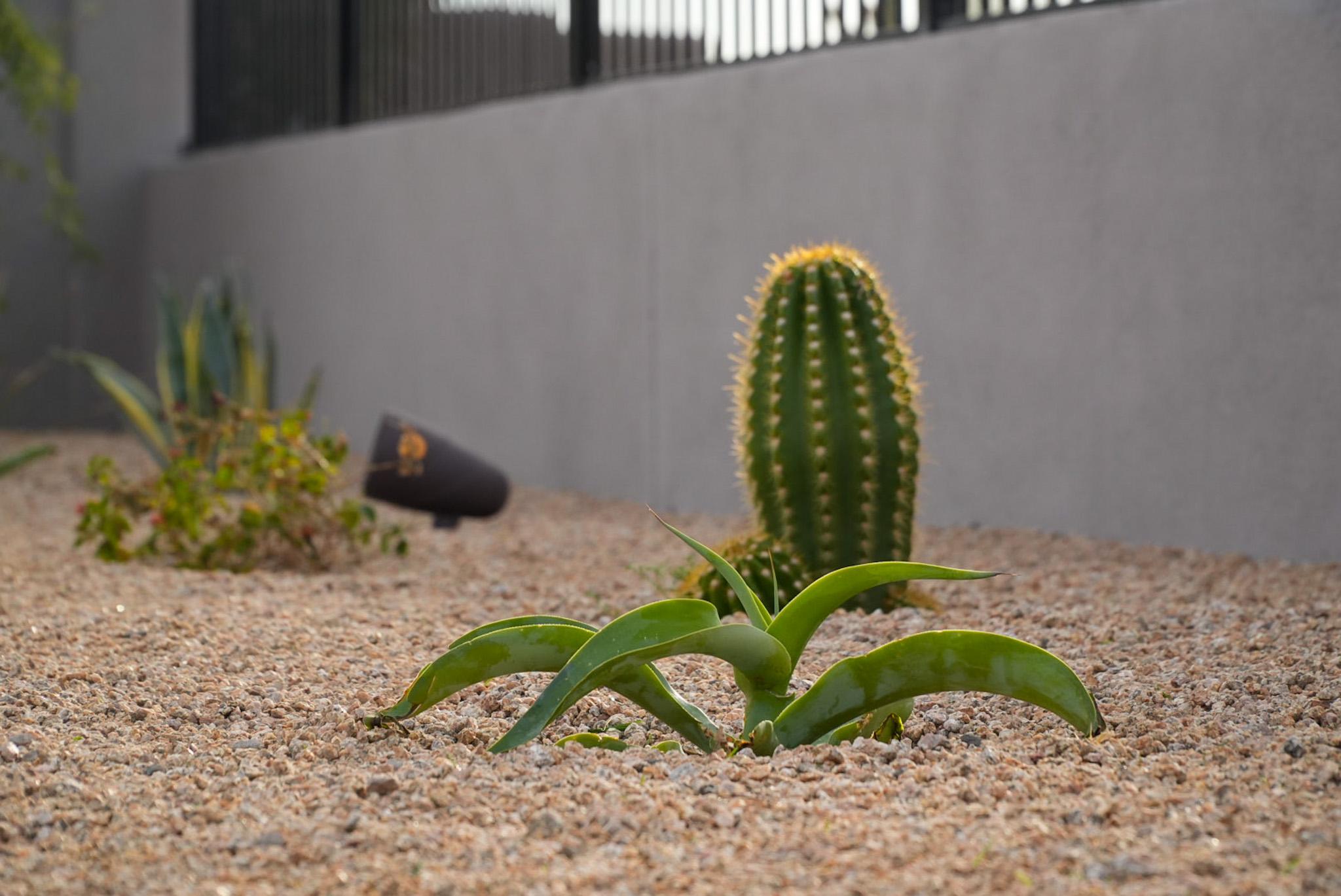 Art of Construction Custom Pools & Outdoor Living Image