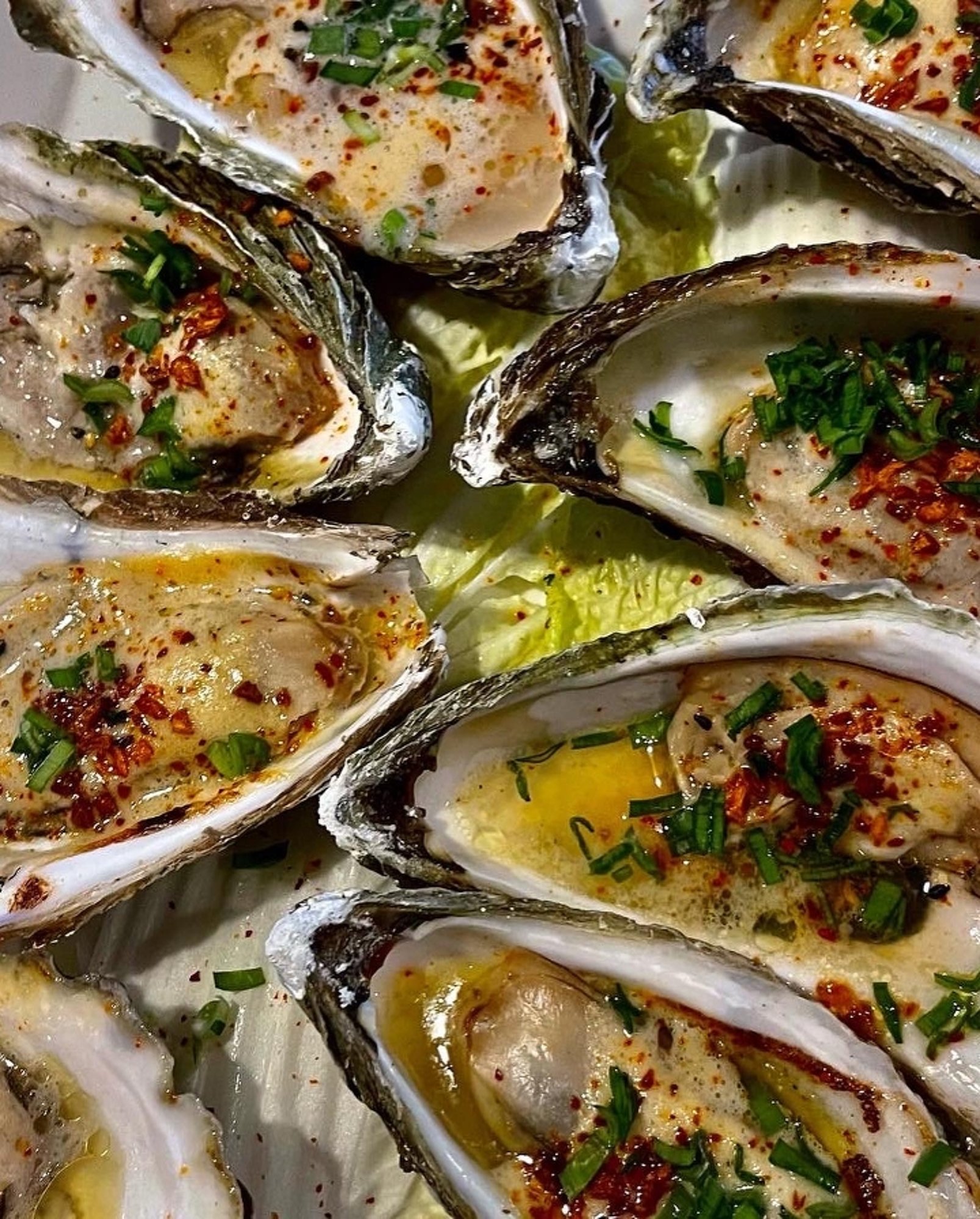 Grilled Oysters ½ Doz.