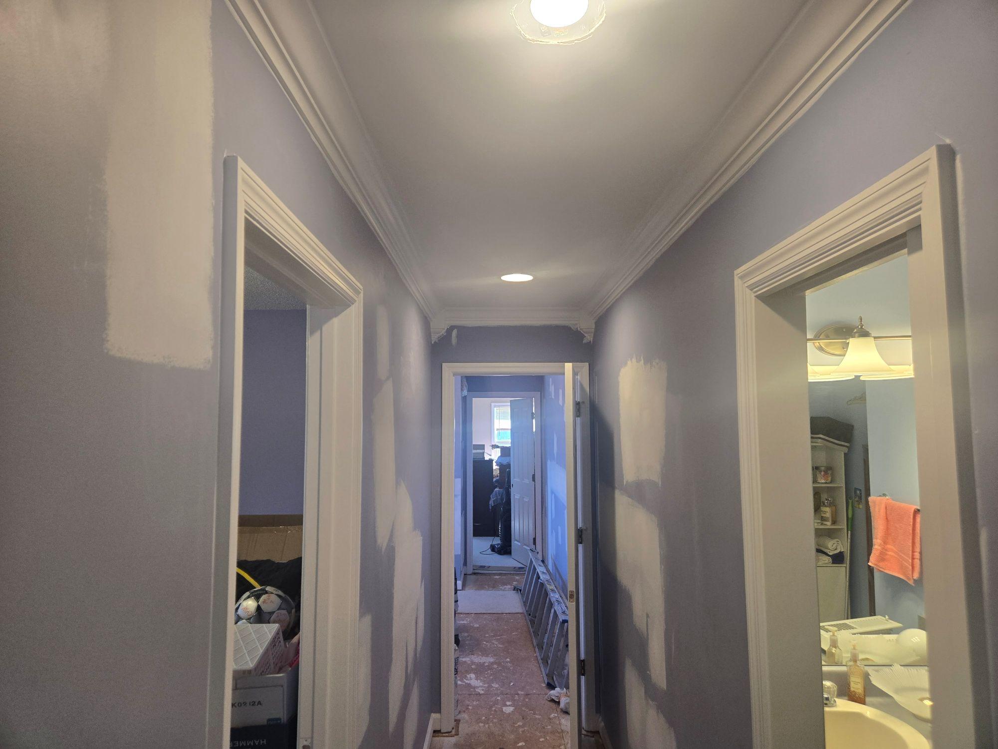 Blue Jay Painting Image