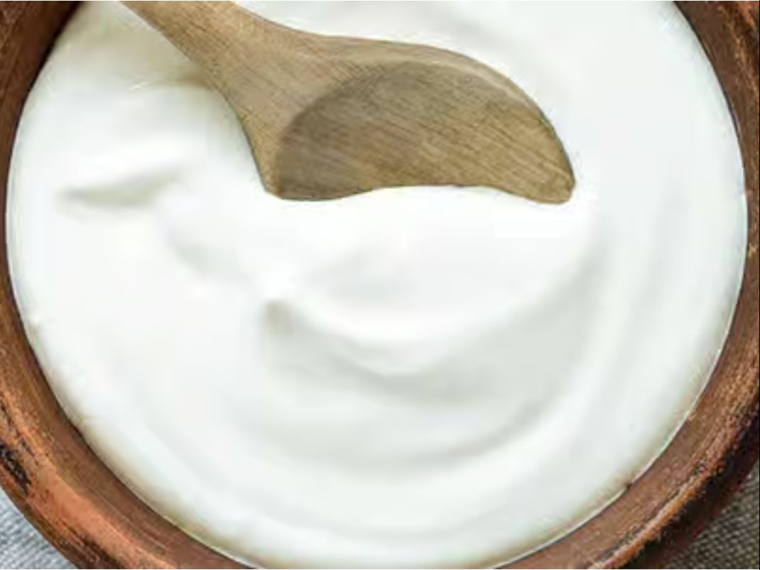 2. Plain Yogurt