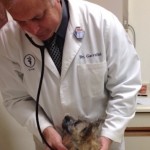 Channel Islands Veterinary Hospital, Port Hueneme Photo