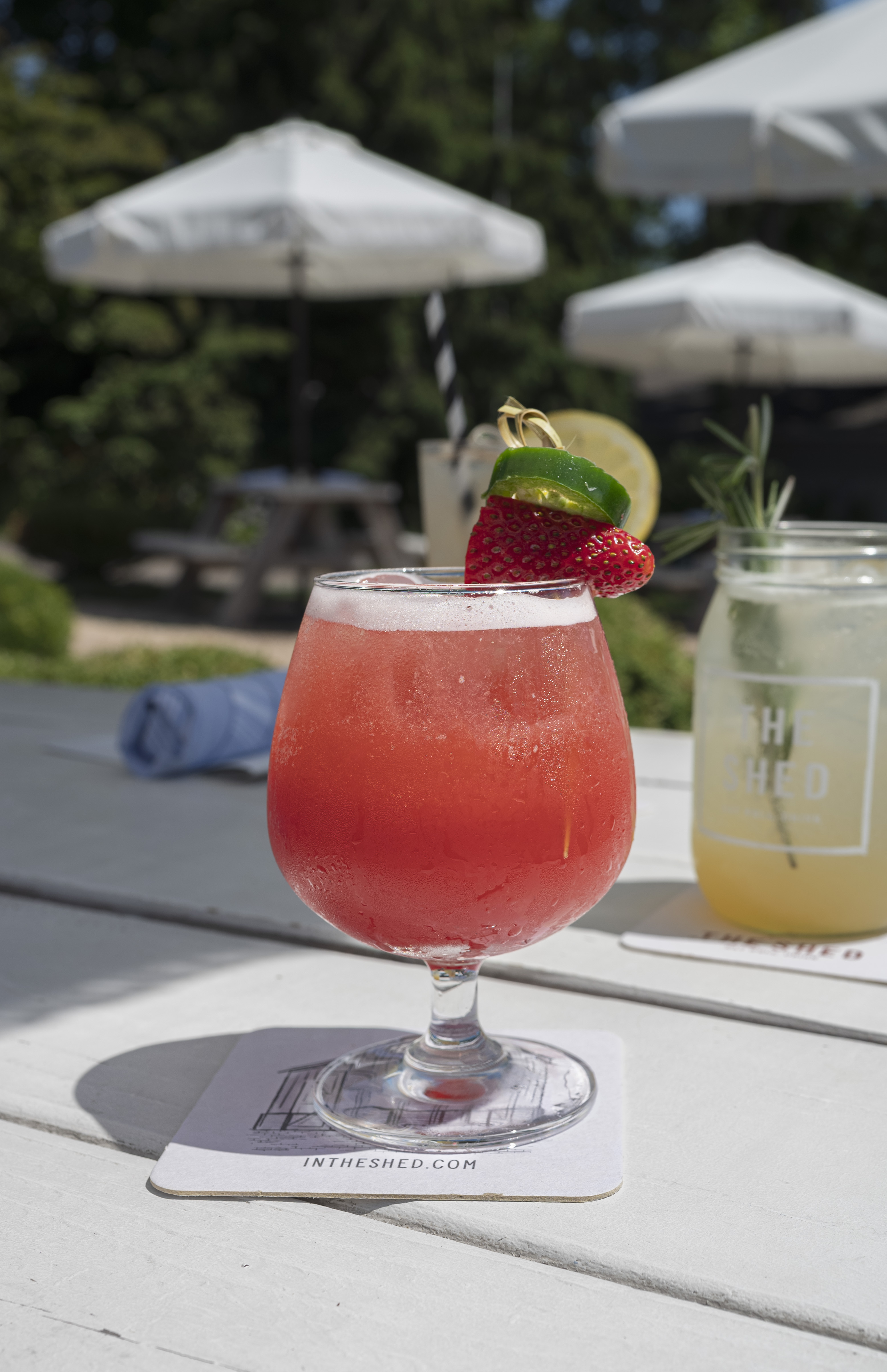 Strawberry Sol Mocktail