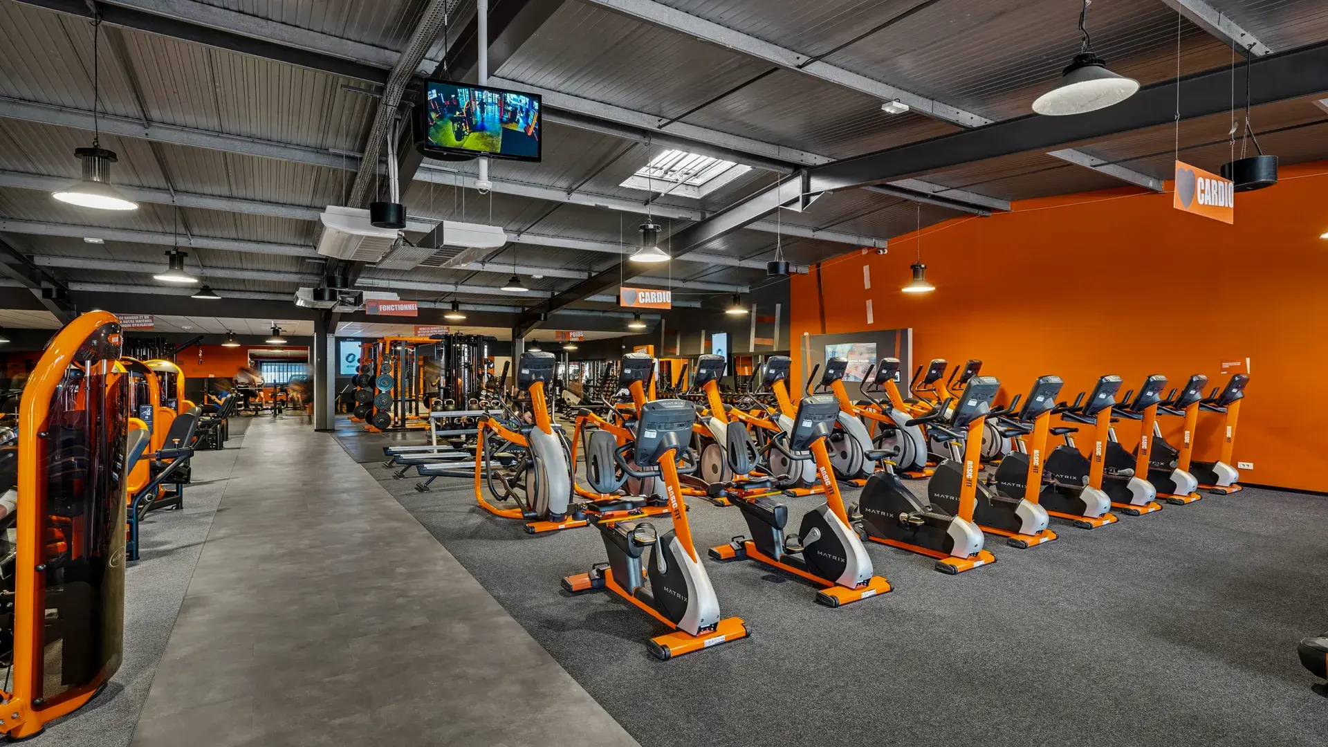 Miniature de la galerie