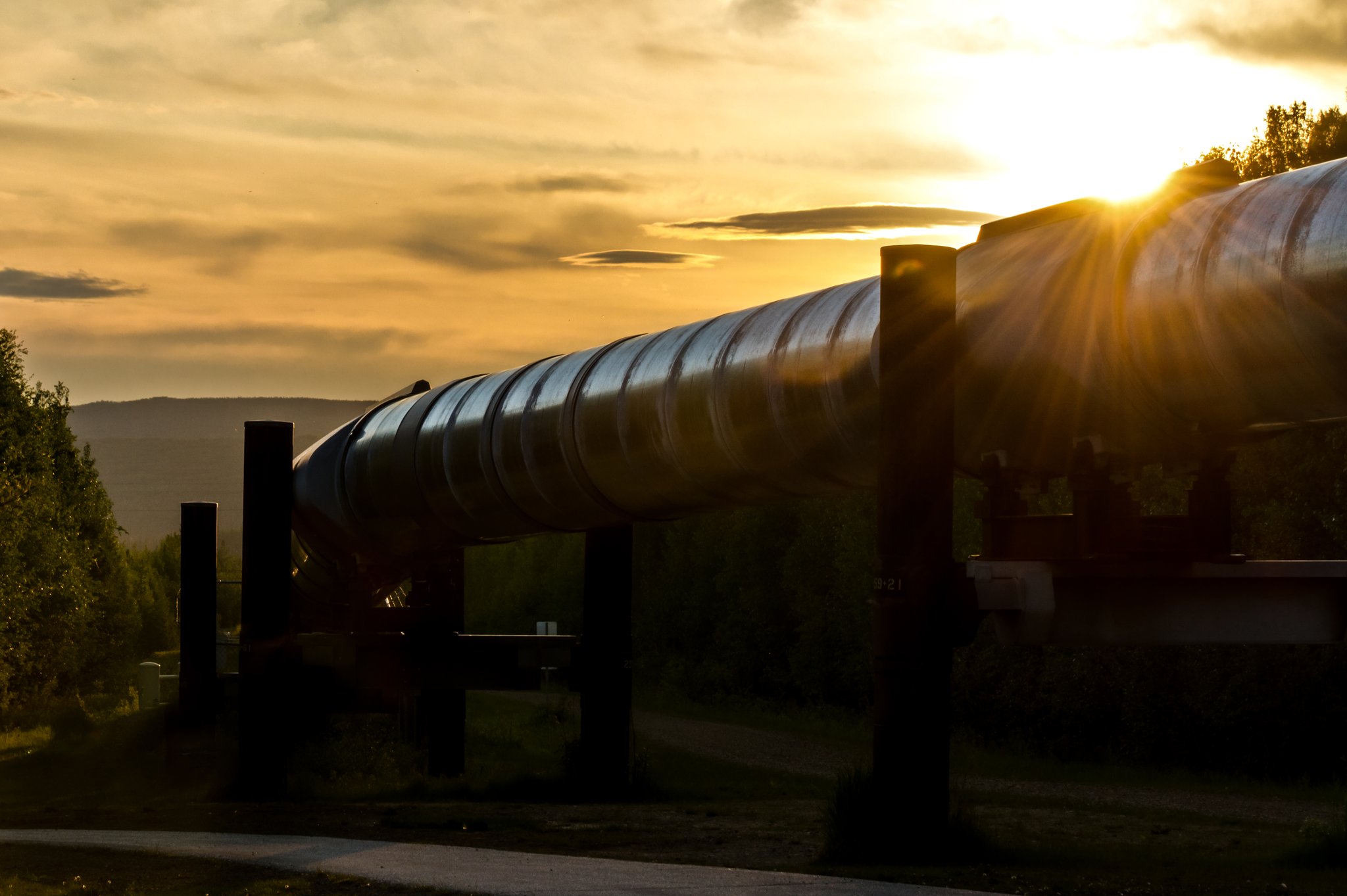 Candlewood Suites Fairbanks by IHG Image